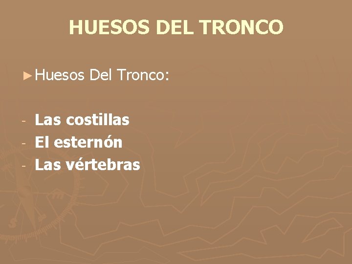HUESOS DEL TRONCO ► Huesos Del Tronco: Las costillas - El esternón - Las