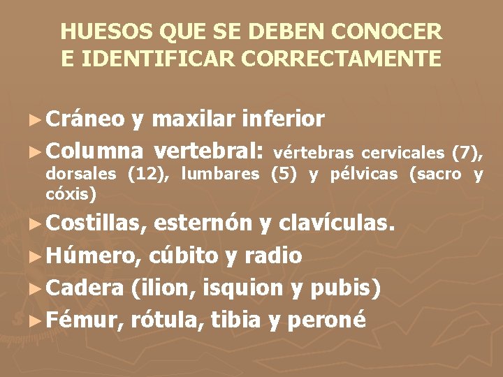 HUESOS QUE SE DEBEN CONOCER E IDENTIFICAR CORRECTAMENTE ► Cráneo y maxilar inferior ►