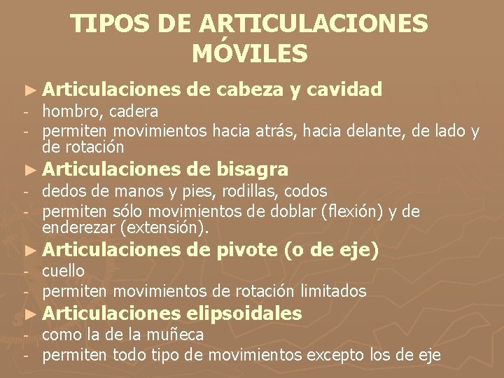 TIPOS DE ARTICULACIONES MÓVILES ► Articulaciones de cabeza y cavidad - hombro, cadera -