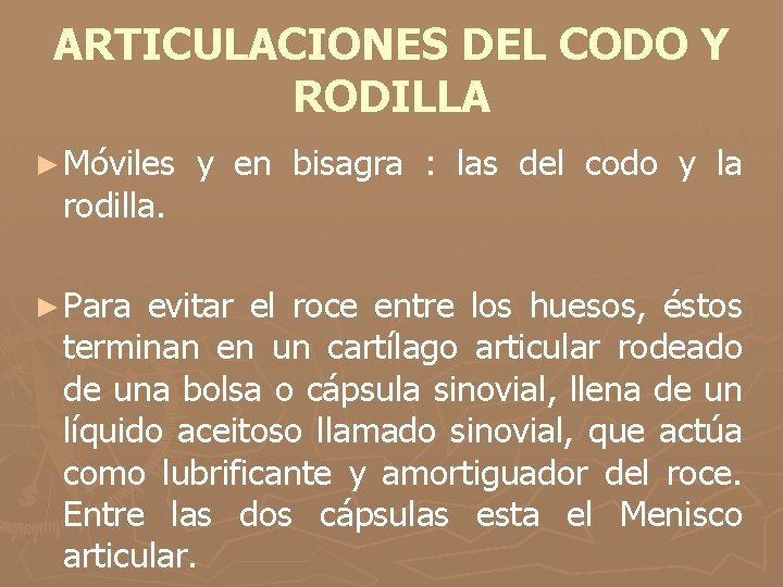 ARTICULACIONES DEL CODO Y RODILLA ► Móviles rodilla. ► Para y en bisagra :