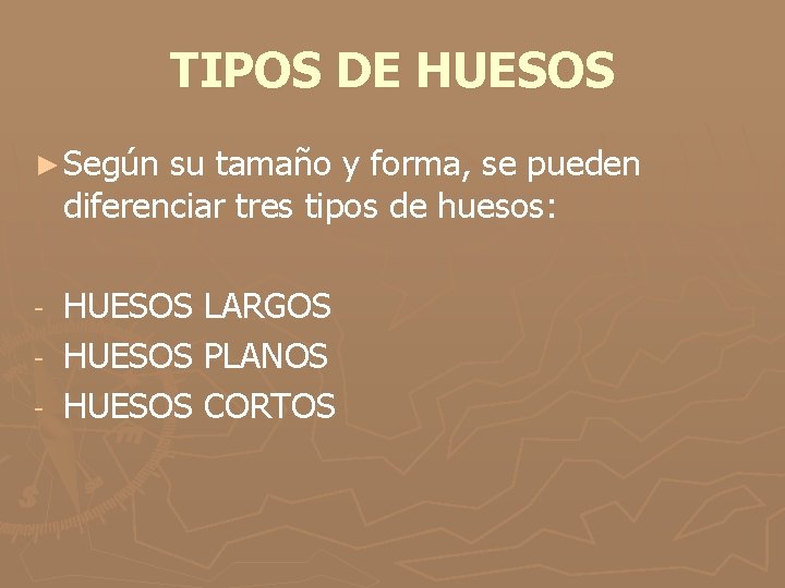 TIPOS DE HUESOS ► Según su tamaño y forma, se pueden diferenciar tres tipos