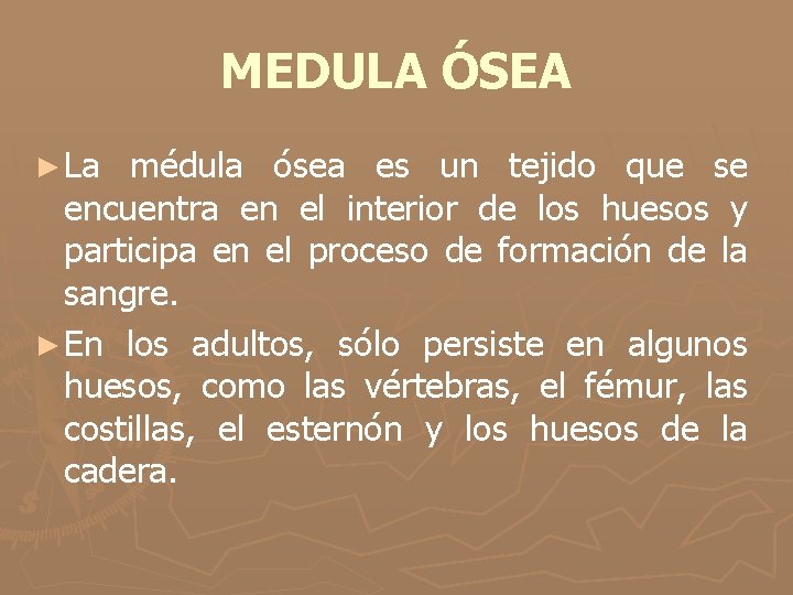 MEDULA ÓSEA ► La médula ósea es un tejido que se encuentra en el