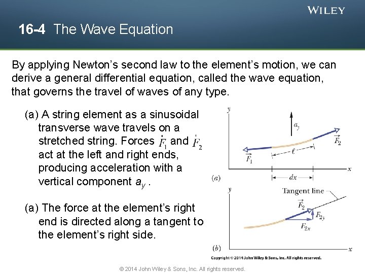 16 -4 The Wave Equation By applying Newton’s second law to the element’s motion,