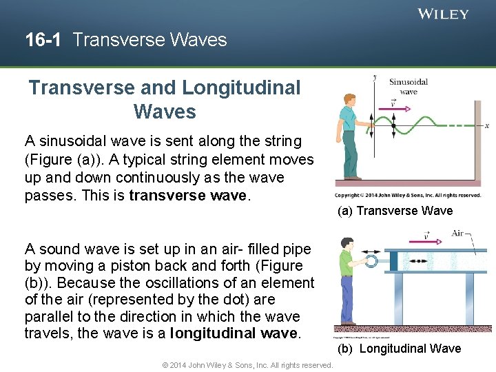 16 -1 Transverse Waves Transverse and Longitudinal Waves A sinusoidal wave is sent along