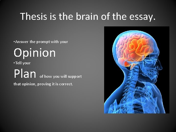 Thesis is the brain of the essay. • Answer the prompt with your Opinion