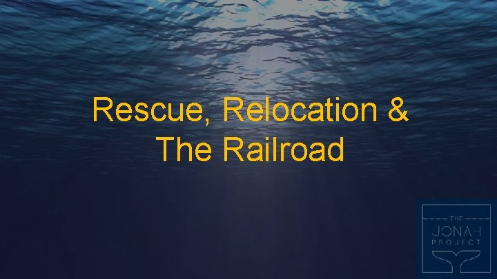 Rescue, Relocation & The Railroad 