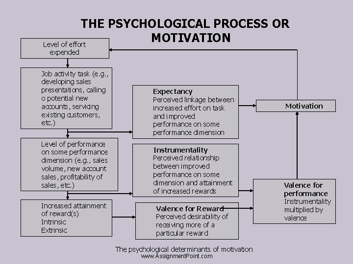 THE PSYCHOLOGICAL PROCESS OR MOTIVATION Level of effort expended Job activity task (e. g.