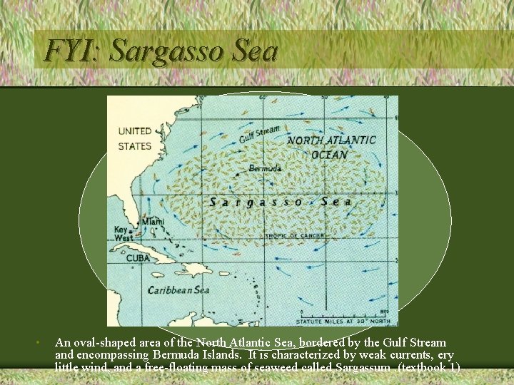 FYI: Sargasso Sea • An oval-shaped area of the North Atlantic Sea, bordered by