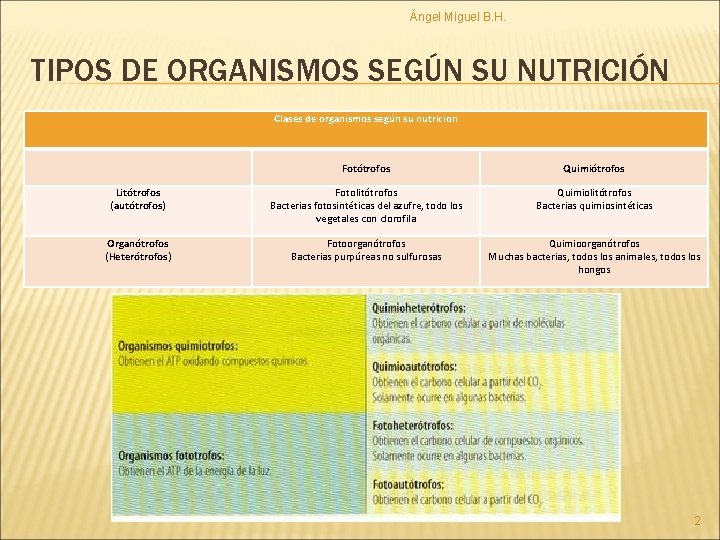 Ángel Miguel B. H. TIPOS DE ORGANISMOS SEGÚN SU NUTRICIÓN Clases de organismos según