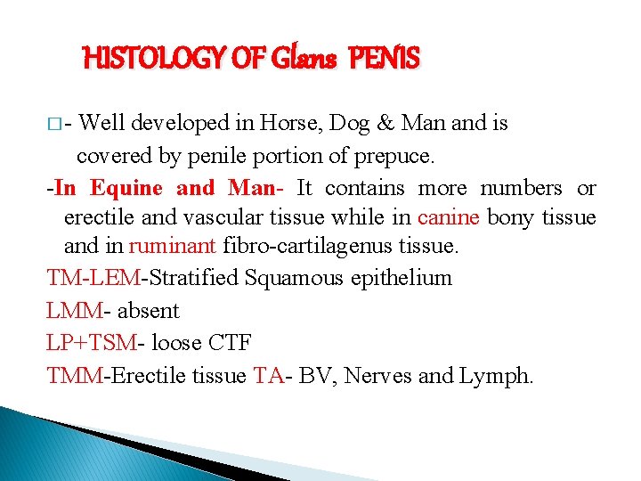 HISTOLOGY OF Glans PENIS �- Well developed in Horse, Dog & Man and is