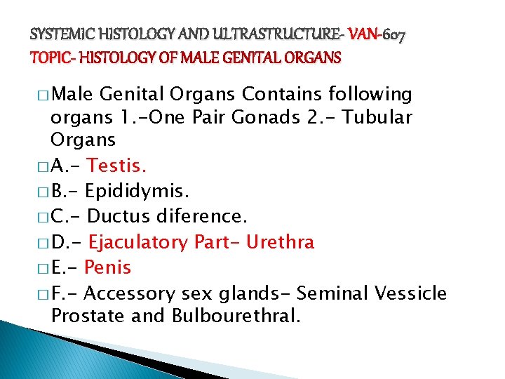 SYSTEMIC HISTOLOGY AND ULTRASTRUCTURE- VAN-607 TOPIC- HISTOLOGY OF MALE GENITAL ORGANS � Male Genital