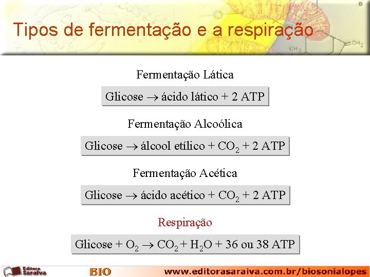 Tipos de fermentação e a respiração Fermentação Lática Glicose ácido lático + 2 ATP