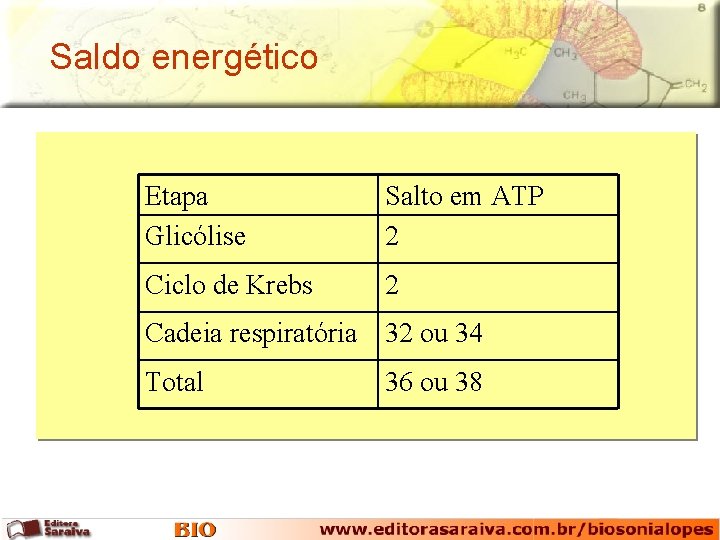 Saldo energético Etapa Glicólise Salto em ATP 2 Ciclo de Krebs 2 Cadeia respiratória