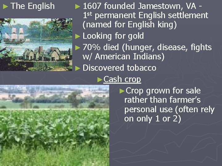 ► The English ► 1607 founded Jamestown, VA 1 st permanent English settlement (named