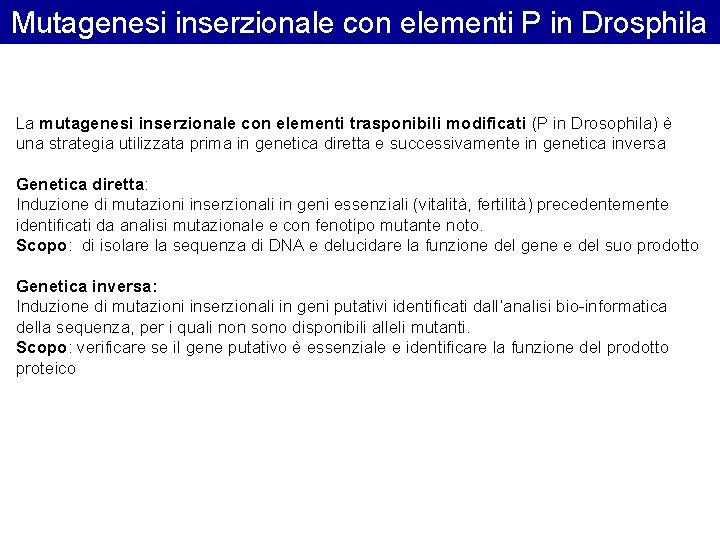 Mutagenesi inserzionale con elementi P in Drosphila La mutagenesi inserzionale con elementi trasponibili modificati