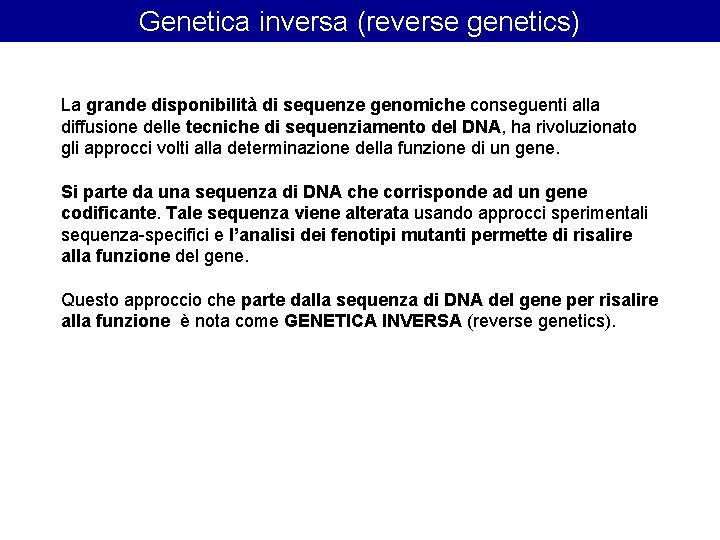 Genetica inversa (reverse genetics) La grande disponibilità di sequenze genomiche conseguenti alla diffusione delle