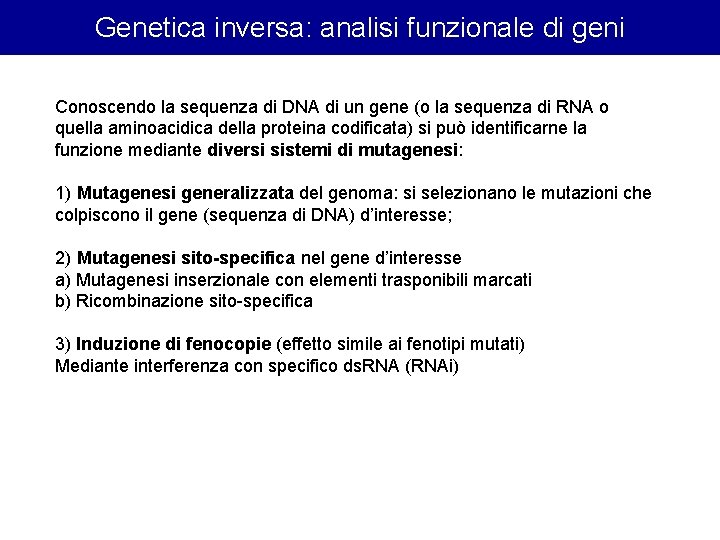 Genetica inversa: analisi funzionale di geni Conoscendo la sequenza di DNA di un gene