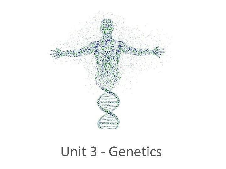 Unit 3 - Genetics 