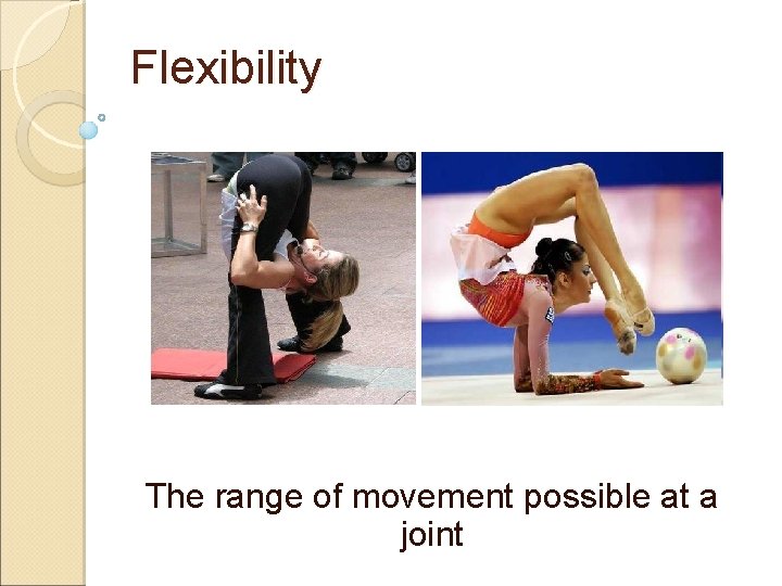 Flexibility The range of movement possible at a joint 