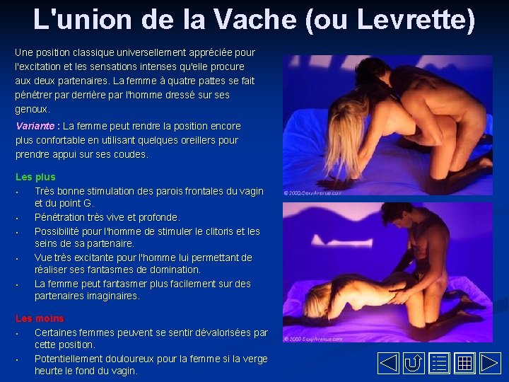 L'union de la Vache (ou Levrette) Une position classique universellement appréciée pour l'excitation et