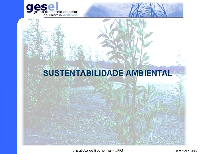 SUSTENTABILIDADE AMBIENTAL Instituto de Economia - UFRJ Setembro 2007 