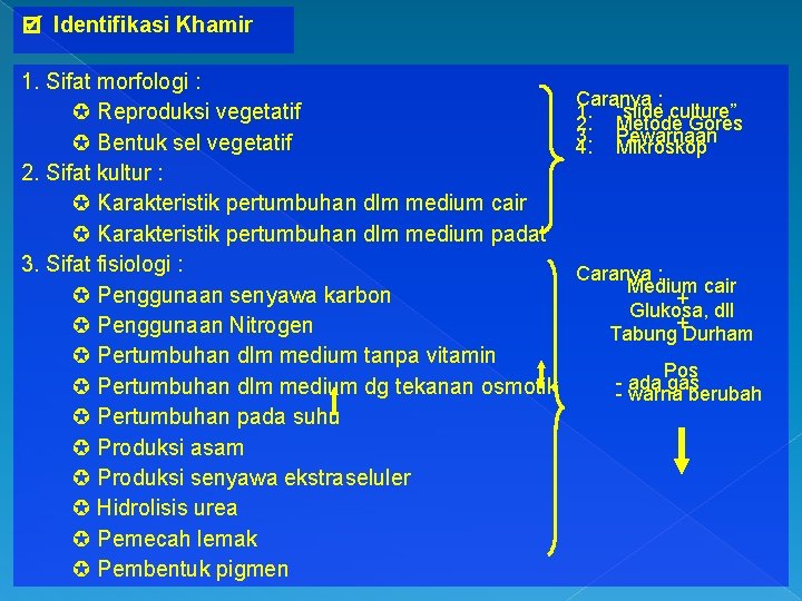  Identifikasi Khamir 1. Sifat morfologi : Reproduksi vegetatif Bentuk sel vegetatif 2. Sifat