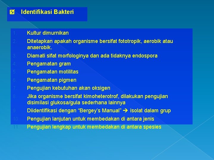  Identifikasi Bakteri 1. Kultur dimurnikan 2. Ditetapkan apakah organisme bersifat fototropik, aerobik atau