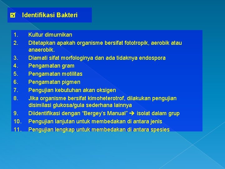  1. 2. 3. 4. 5. 6. 7. 8. 9. 10. 11. Identifikasi Bakteri