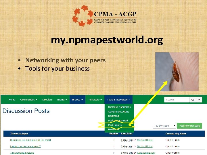 my. npmapestworld. org • Networking with your peers • Tools for your business 