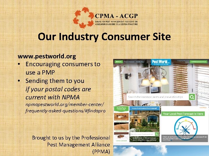 Our Industry Consumer Site www. pestworld. org • Encouraging consumers to use a PMP