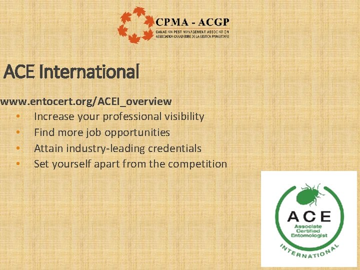 ACE International www. entocert. org/ACEI_overview • Increase your professional visibility • Find more job