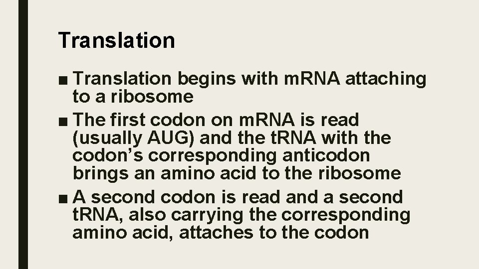 Translation ■ Translation begins with m. RNA attaching to a ribosome ■ The first