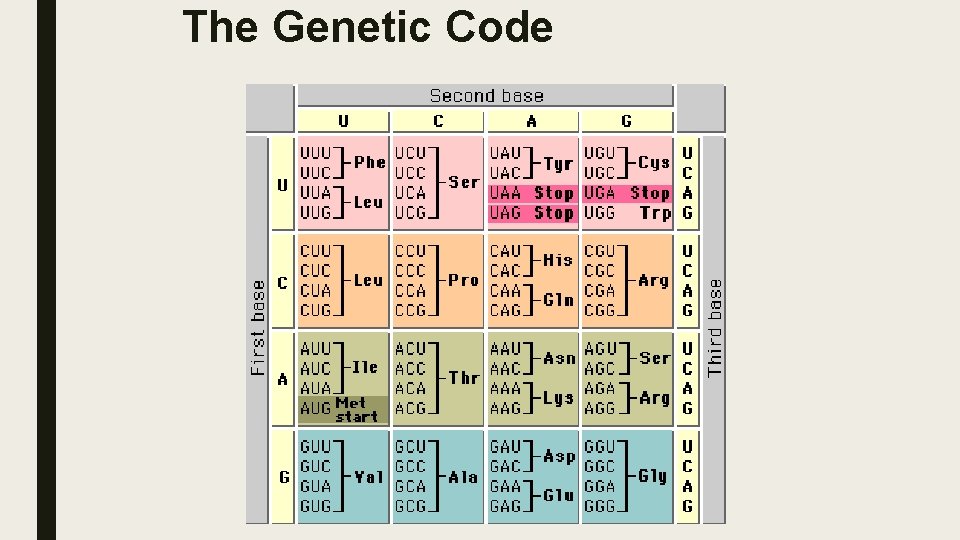 The Genetic Code 