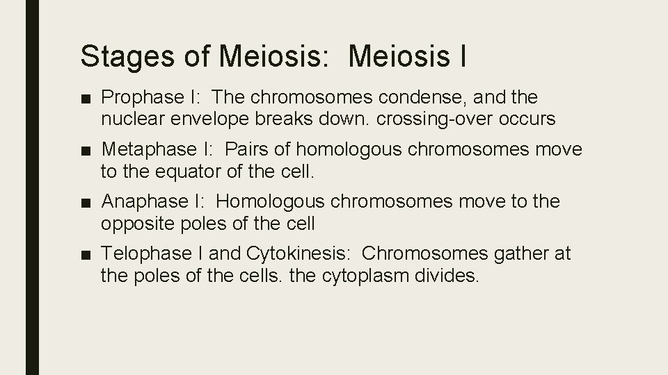 Stages of Meiosis: Meiosis I ■ Prophase I: The chromosomes condense, and the nuclear