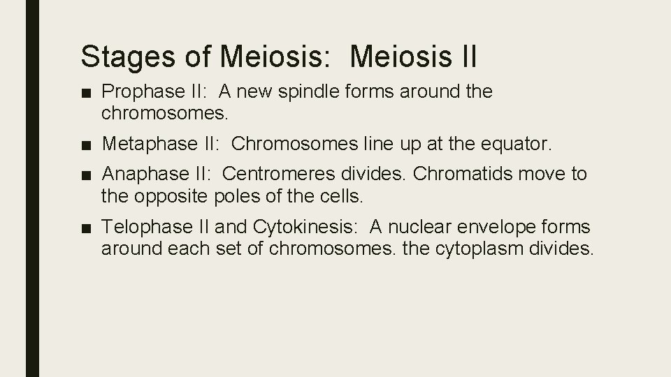 Stages of Meiosis: Meiosis II ■ Prophase II: A new spindle forms around the