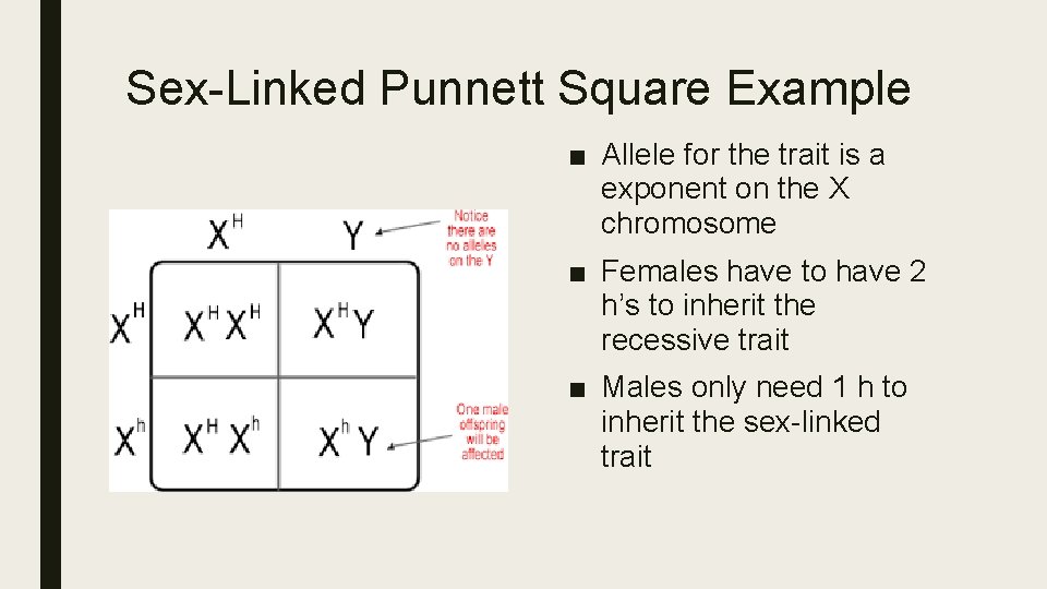 Sex-Linked Punnett Square Example ■ Allele for the trait is a exponent on the