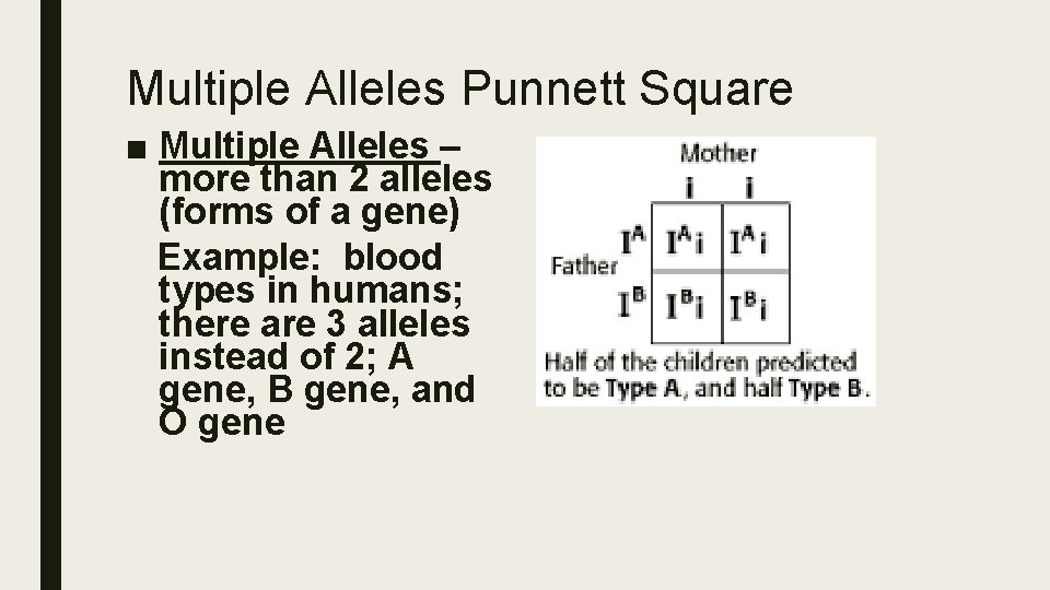 Multiple Alleles Punnett Square ■ Multiple Alleles – more than 2 alleles (forms of