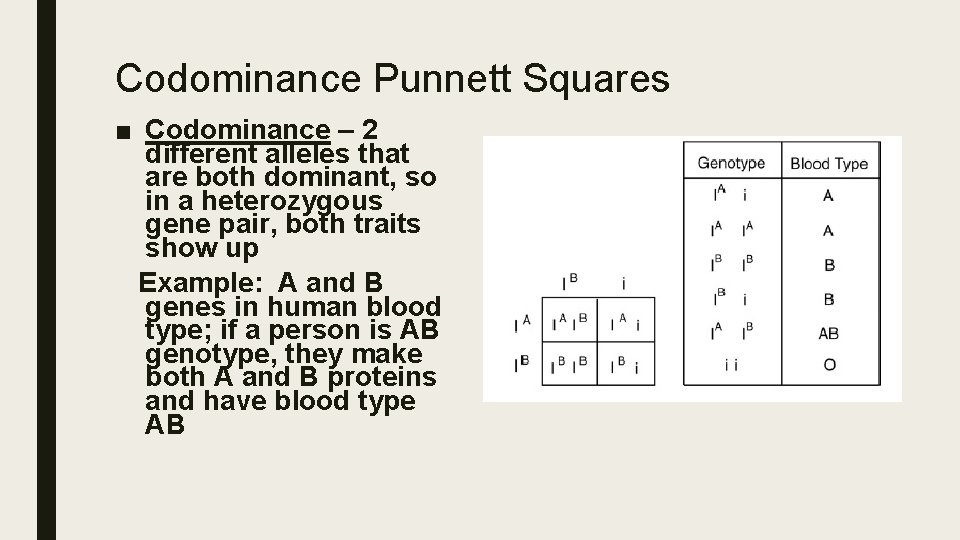 Codominance Punnett Squares ■ Codominance – 2 different alleles that are both dominant, so