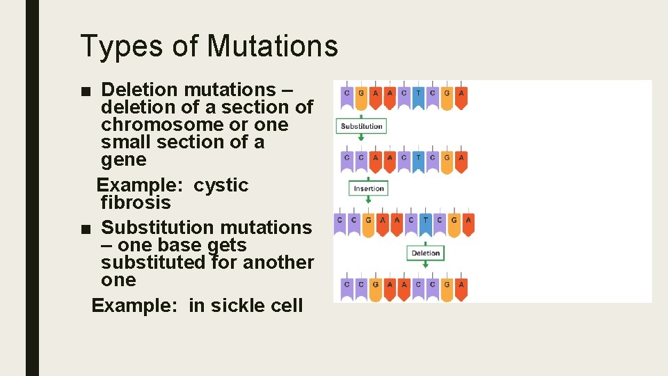 Types of Mutations ■ Deletion mutations – deletion of a section of chromosome or