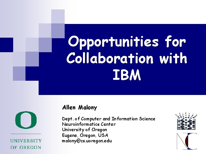 Opportunities for Collaboration with IBM Allen Malony Dept. of Computer and Information Science Neuroinformatics