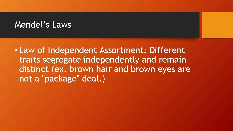 Mendel’s Laws • Law of Independent Assortment: Different traits segregate independently and remain distinct