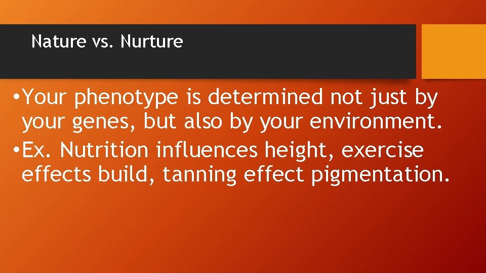 Nature vs. Nurture • Your phenotype is determined not just by your genes, but