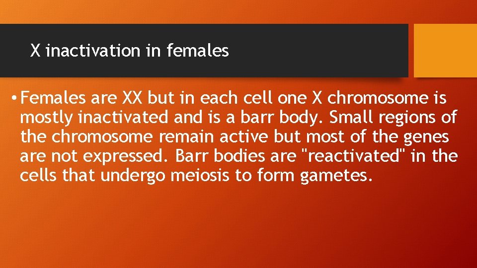 X inactivation in females • Females are XX but in each cell one X