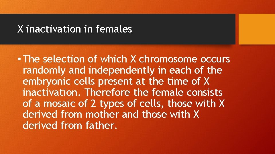 X inactivation in females • The selection of which X chromosome occurs randomly and