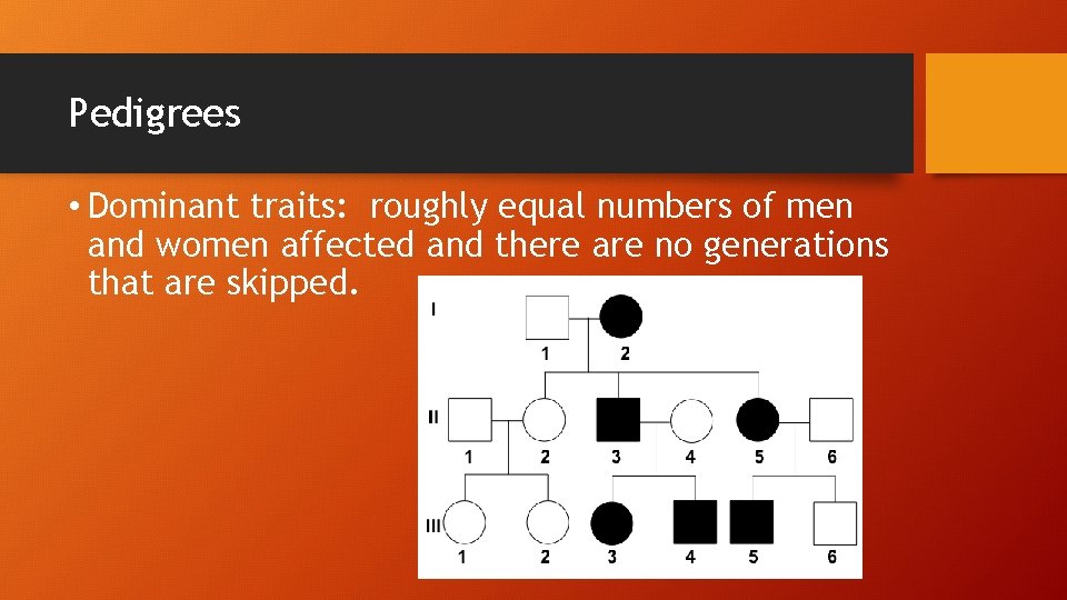 Pedigrees • Dominant traits: roughly equal numbers of men and women affected and there