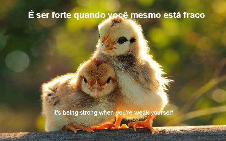 É ser forte quando você mesmo está fraco It's being strong when you're weak