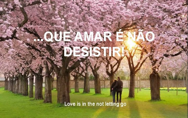 . . . QUE AMAR É NÃO DESISTIR! Love is in the not letting