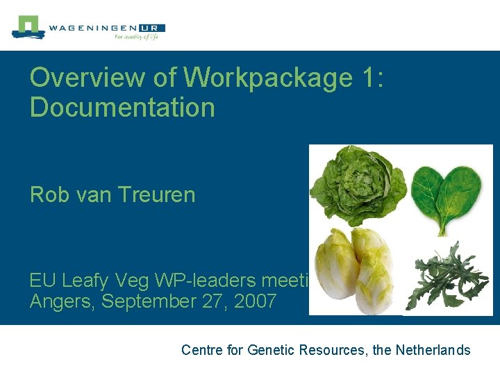 Overview of Workpackage 1: Documentation Rob van Treuren EU Leafy Veg WP-leaders meeting Angers,