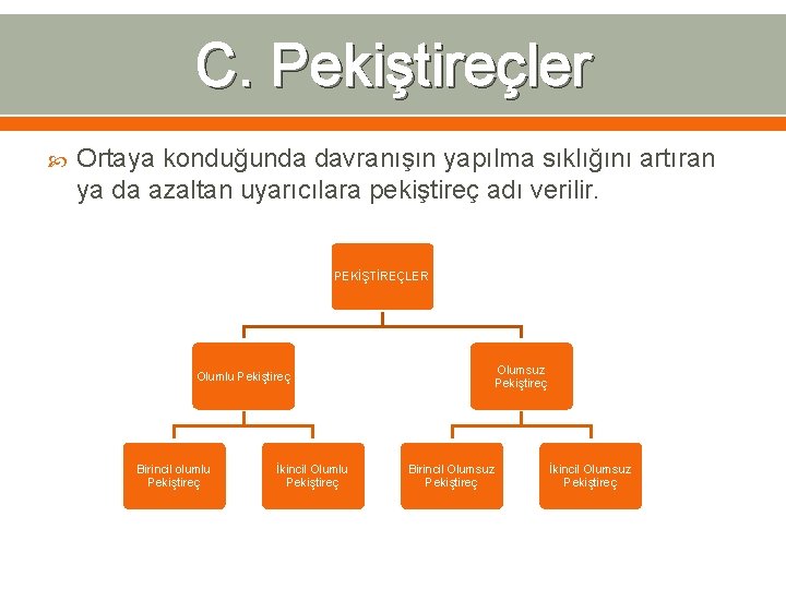 C. Pekiştireçler Ortaya konduğunda davranışın yapılma sıklığını artıran ya da azaltan uyarıcılara pekiştireç adı