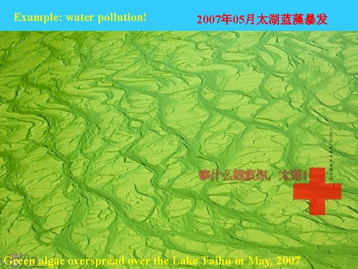 Example: water pollution! 2007年 05月太湖蓝藻暴发 Green algae overspread over the Lake Taihu in May, Example: water pollution! 2007年 05月太湖蓝藻暴发 Green algae overspread over the Lake Taihu in May,